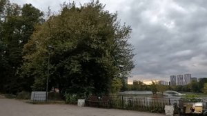 Убирая на даче богача, «жена на час» услышала странный шум, а открыв шкаф едва не поседела