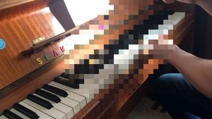 Тест на Абсолютный Слух за 3 минуты