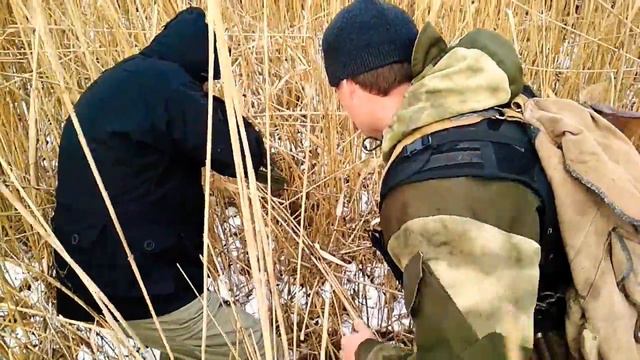 Кутан Дагестанский. 2018.