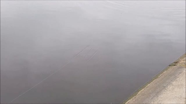 Jerkbaits Bubuka Bait тесты, техника проводки джеркбейтов. Часть 2 смотреть онлайн