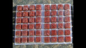 Как хранить мотыля дома: лучшие способы и отзывы рыбаков ПРОВЕРЕННЫЕ СПОСОБЫ