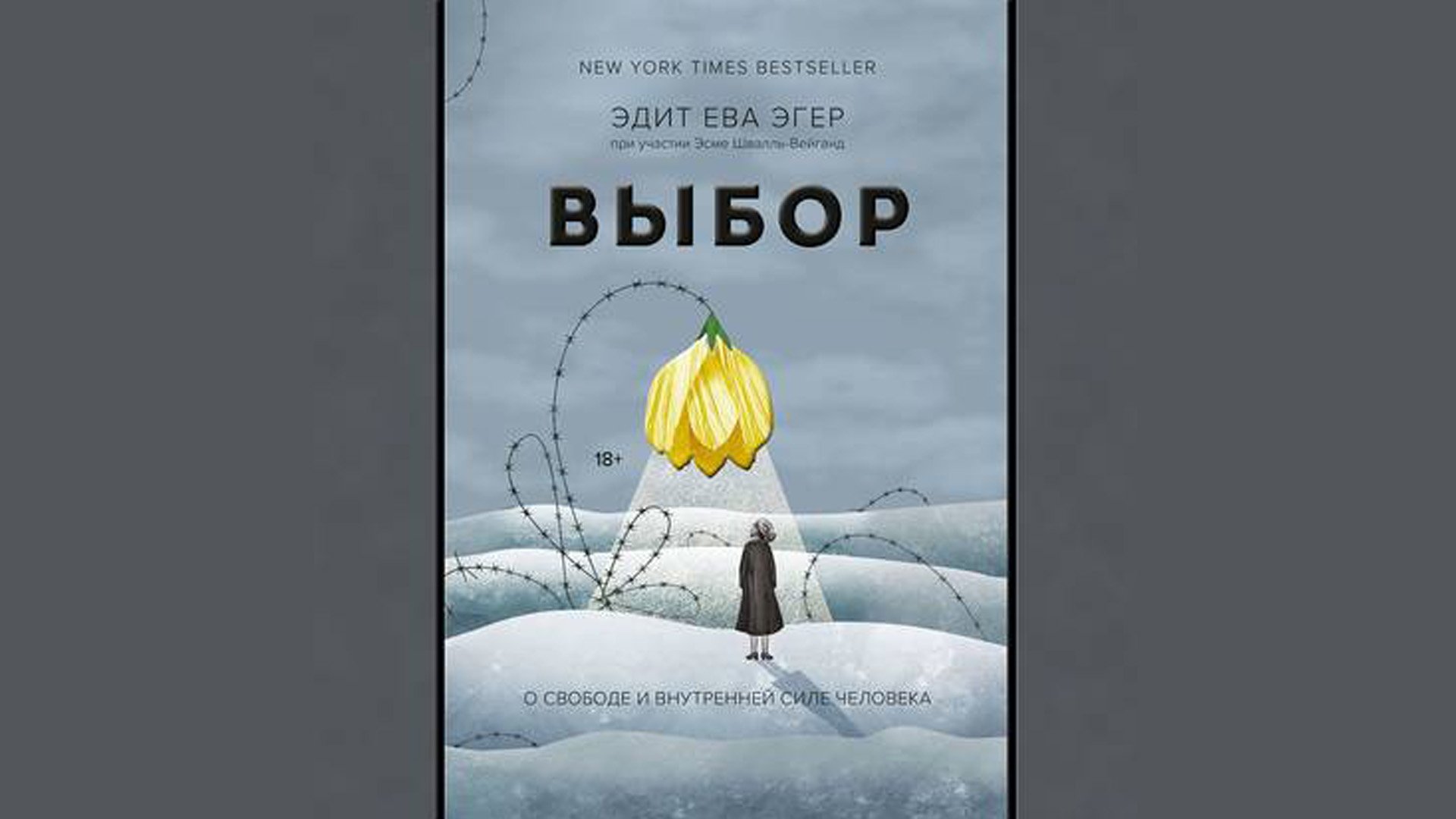 Популярные аудиокниги. Эдит Ева Эгер, Эсме Швалль-Вейганд. Выбор смотреть онлайн
