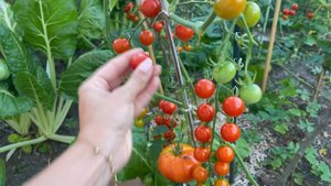 📔🍂🌞Septembre - Papeteries parisiennes, et petites emplettes