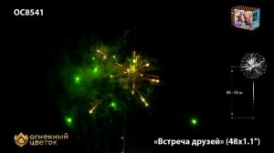 ОС8541 Встреча друзей (1,1"х 48)