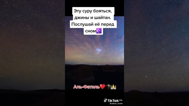 Сура перед туалетом