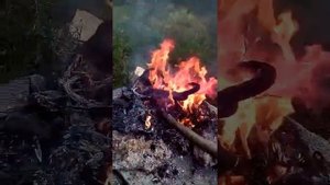 ОБЖИГ МЕГА ТОЛСТОГО МЕДНОГО КАБАНА ИЗ СССР! КАБЕЛЬ ИЗ КОПА! ГДЕ НАЙТИ МЕДЬ ? СКОЛЬКО ПОЛУЧИТСЯ МЕДИ