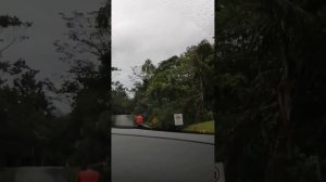 Вот чем сейчас занимается Евгений Эванс 🥺