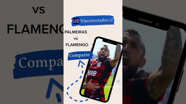 Este domingo, el Flamengo de Arturo Vidal y Erick Pulgar se mide ante el Palmeiras