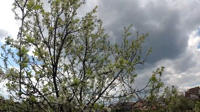 Как укрепить свое духовное здоровье — 11 важных правил.