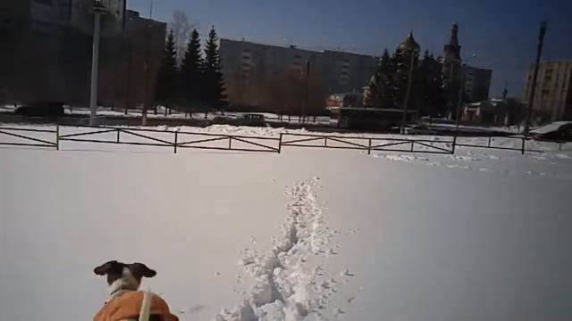 Гекла и сугробы??❄ смотреть онлайн