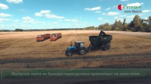 Трехзвенная уборка с помощью бункера-перегрузчика в ТОО "Айыртау-Жер" (Казахстан), 2016 г.