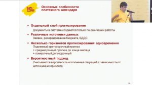 Централизованное казначейство в «1С:Управлении холдингом 8»