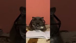 сочинение на тему за что я люблю зиму