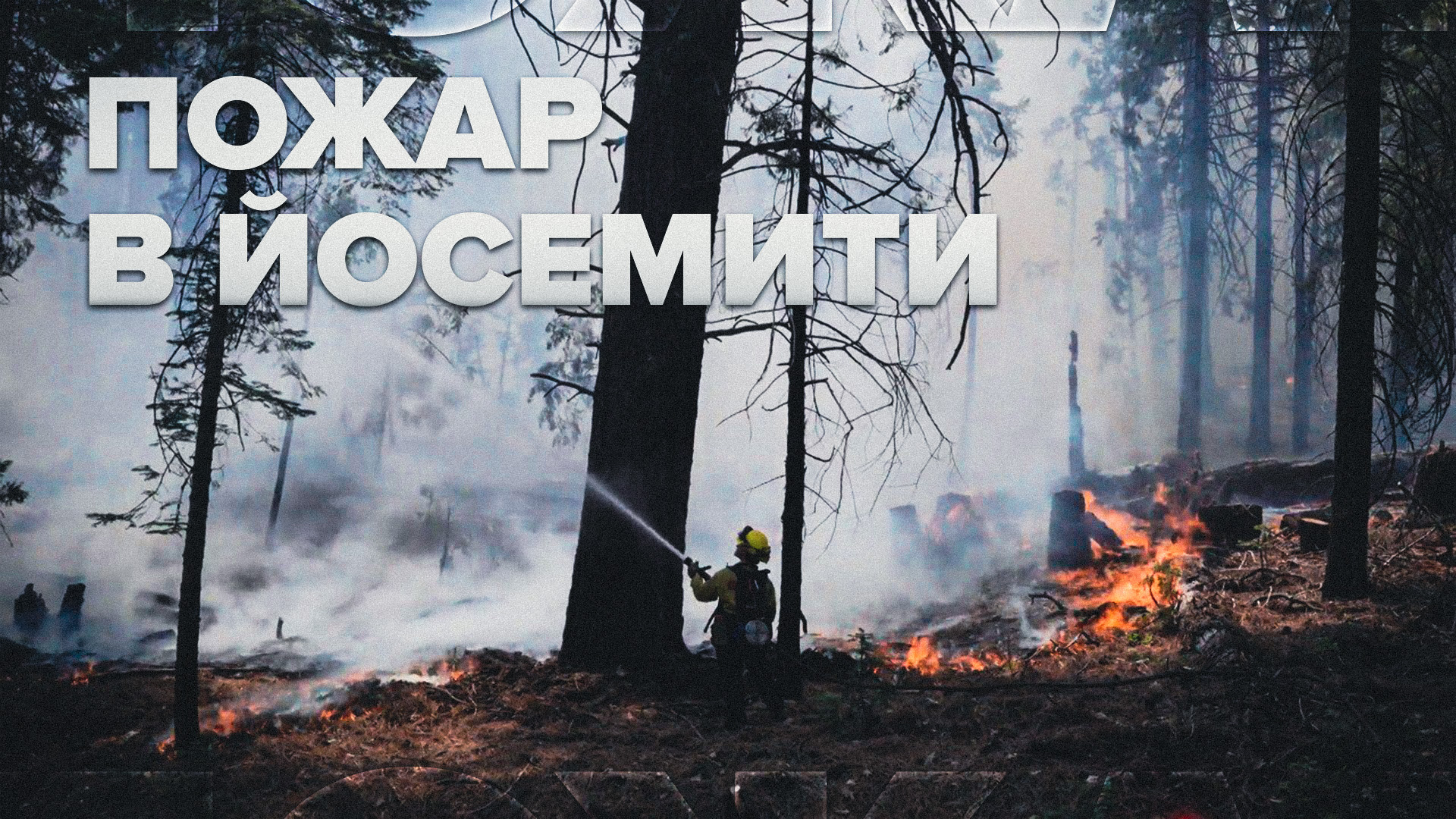 Тушение пожара в калифорнийском нацпарке Йосемити — видео