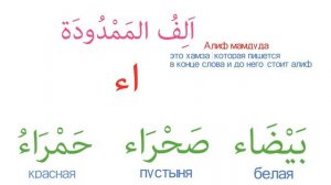 Грамматика Арабского языка УРОК №  4 Женский(مُؤَنََّث)  и Мужской (مُذَكَّر) род в арабском языке