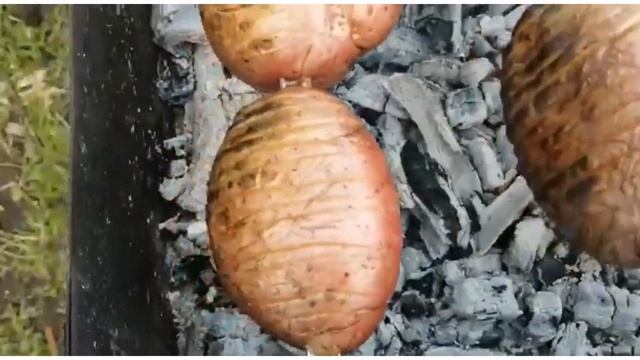 Картофель на углях смотреть онлайн