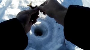 Подводная Камера для Зимней Рыбалки (Fishcam plus 700) – Тест Обзор