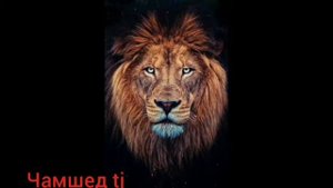 #Remix_muzik Turkish самая красивая турецкая музыка