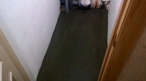 Укладка плитки на пол в туалете своими руками