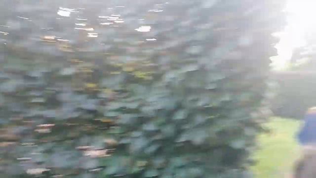 Необыкновенный парк "Краснодар" это что-то невероятное 💥💥💥💥 смотреть онлайн