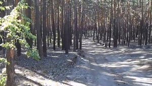 Щучье озеро в Казахстане, Часть 2 2015