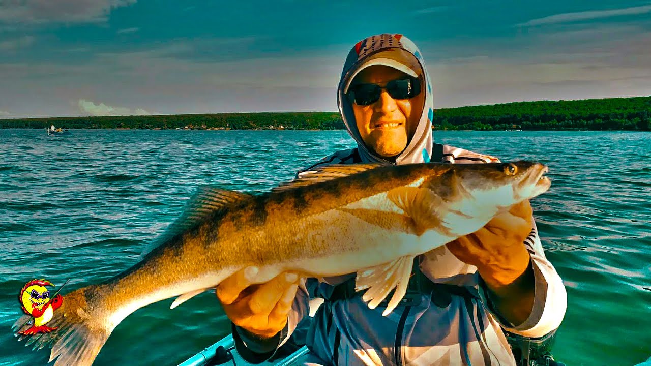 День судака. Читай город судак. Огромный судак мультипликатор. Подслушано судак. Симферополь.