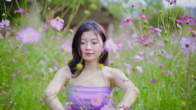 Can't Help Falling In Love Saxophone Mp3 Download 🎷Swing saxophone music 586 смотреть онлайн