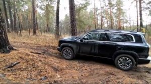 Haval Dargo X Грязь,песок и корни))) 29 октября 2023 г.