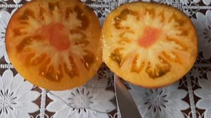 Сучава анто. Обзор сорта