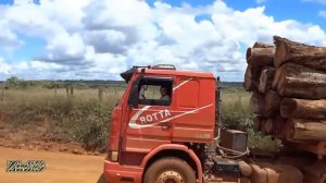 Extreme Dangerous Biggest Logging Wood Truck Driving Skills Heavy Equipment Loading Climbing Workin