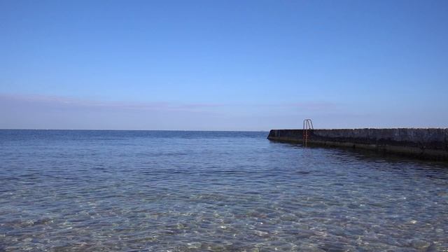 03.02.2022 Плед сосны.mp4