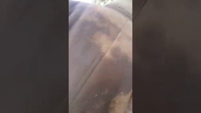 Бухой мужик лезет к детям смотреть онлайн