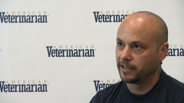 Reducing Stress In Animal Shelters смотреть онлайн