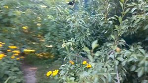 Гараж из профнастила своими руками (Обзор)