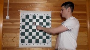 Как ходит ладья в шахматах