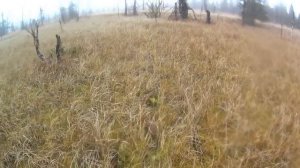 80 дней в тайге. Пушной промысел. Видеодневник. Часть 5