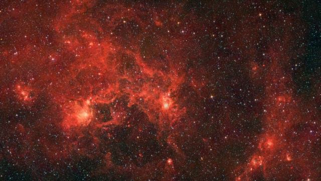 Dragonfish Coming At You in Infrared 🎶 audiomachine - Guardians at the Gate 🎼 ｜GIF｜4K Wonder Music смотреть онлайн