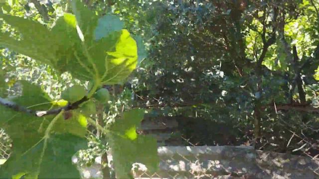 ровный участок с видом на олимппарк/хорошая дорога/коммуникации рядом/п.Верхневесёлое