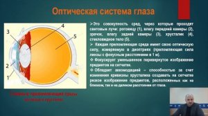 Анализаторы. Органы чувств . Биология