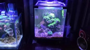 NooPsyche K7 Mini 60W VS NooPsyche K7 PRO II 95W