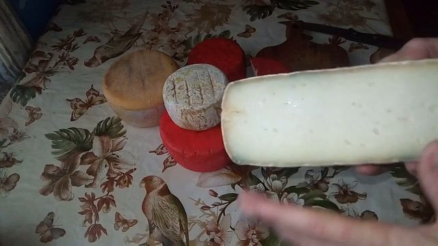 Рогатая коза и кормушка/мои сыры для покупателей смотреть онлайн