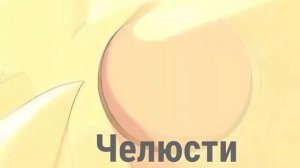 Все Превращение Бена 10|Бен 10 Классика