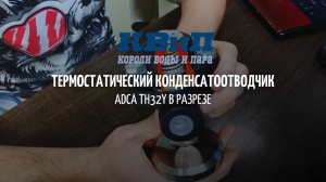 Термостатический конденсатоотводчик ADCA TH32Y В РАЗРЕЗЕ