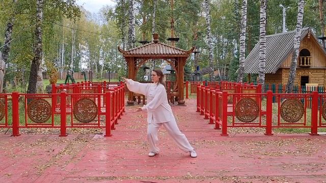 10 форм тайцзицюань