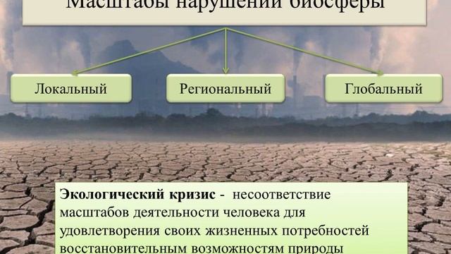 11 класс. Биология. Обобщение по разделу 'Биосфера' смотреть онлайн
