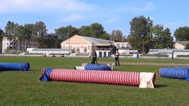 4.10.2015 г. Nevastar Yandex Ru смотреть онлайн