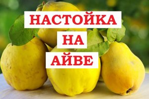 Настойка на Айве