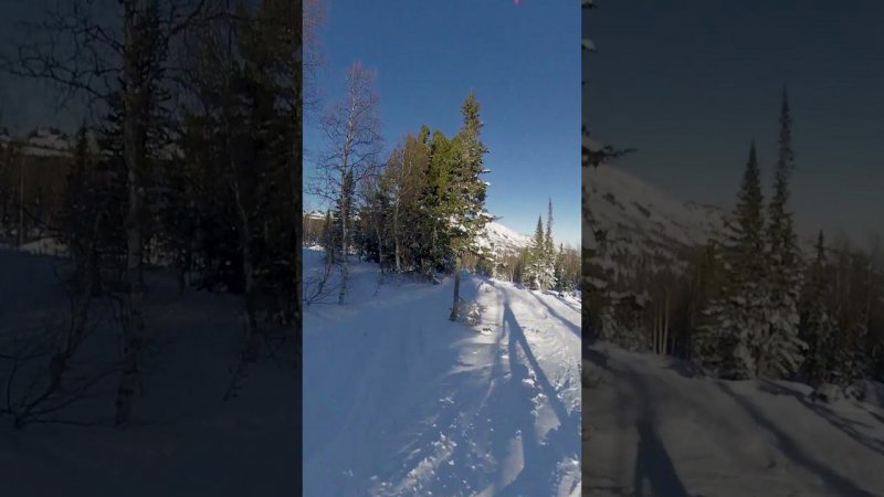 Катаясь в лесу Шерегеша можно поймать Дзэн
