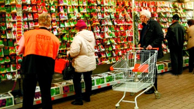 Применение обработанных семян. Плюсы и минусы.