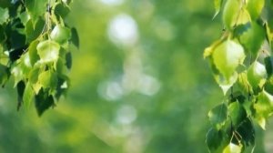 Мантра от давления 324 раза